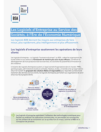Enterprise Software French cover